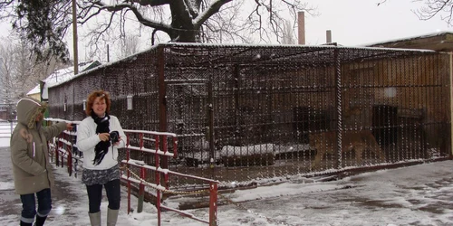 Animalele de la ZOO au fost hrănite cu peștele confiscat de DSVSA Bihor