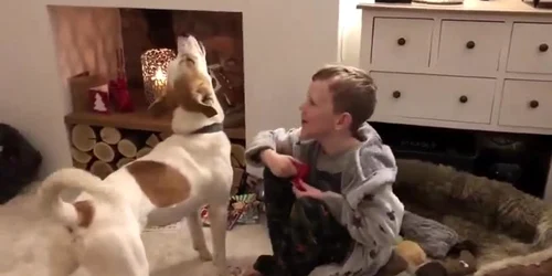 5c2def2ddf52022f752d02f5 jpg