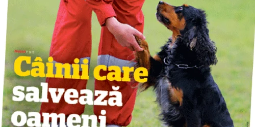 „Adevărul  magazin de duminică