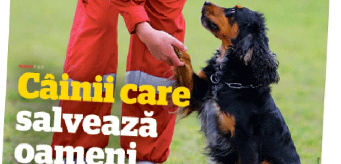 „Adevărul magazin de duminică