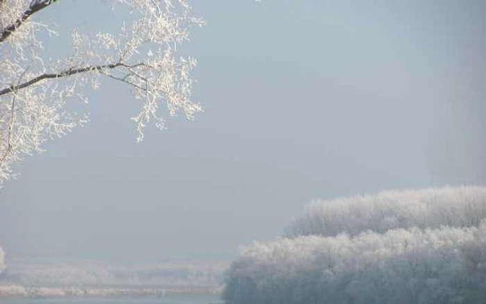 Iarnă cu temperaturi neobişnuite Foto:I.S.