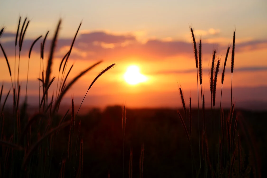Apus de soare. Foto: Pixabay 