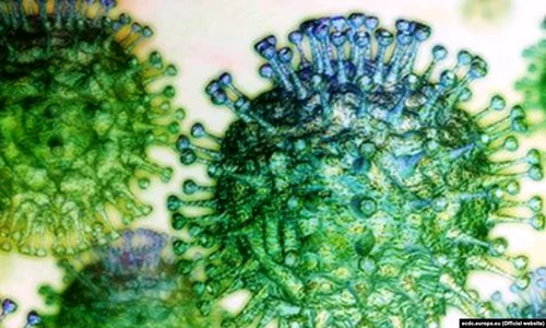 COVID 19: 45 de cazuri în România jpeg