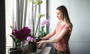 plante freepik jpg