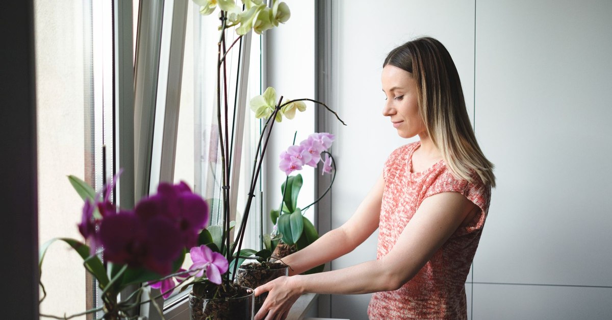 Plantele care reduc stresul și anxietatea