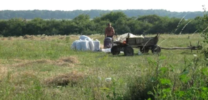 Oradea: 30 de fermieri bihoreni vor învăța agricultură de la cehi și slovaci