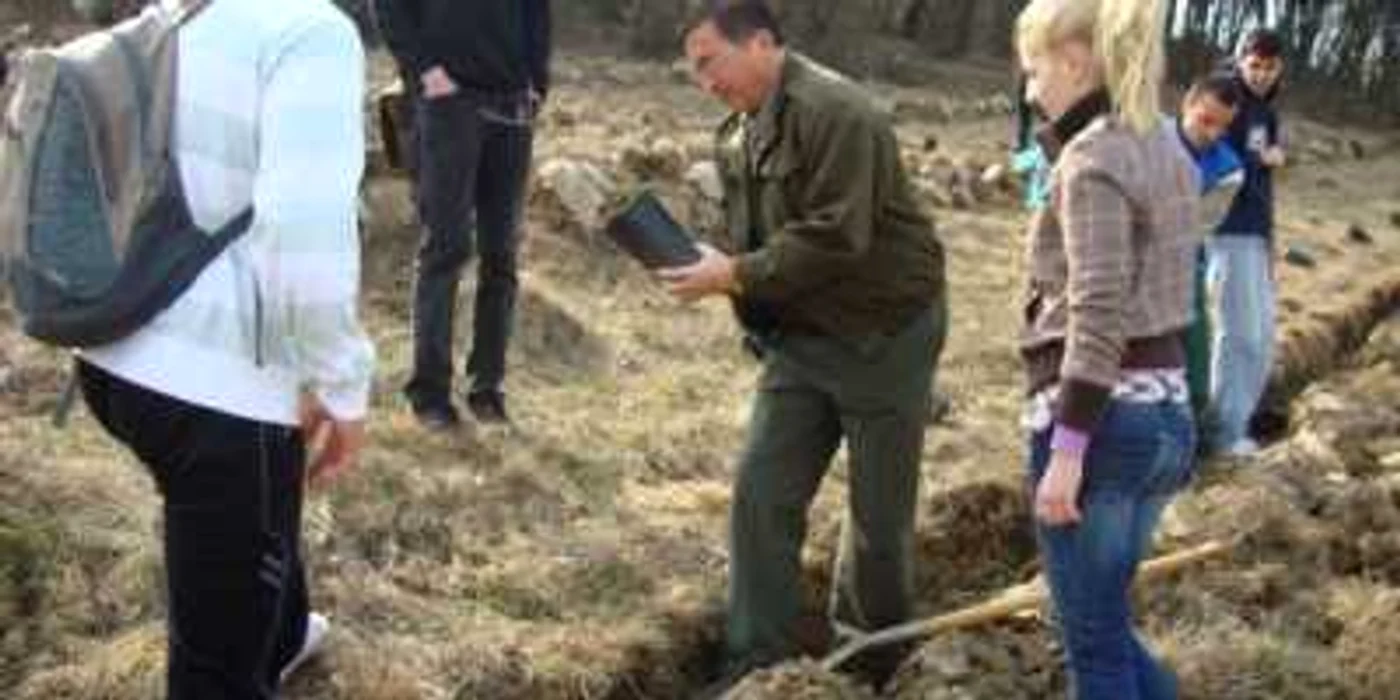 Primăria Cluj-Napoca va planta câte un copac pentru fiecare copil care se va naşte 