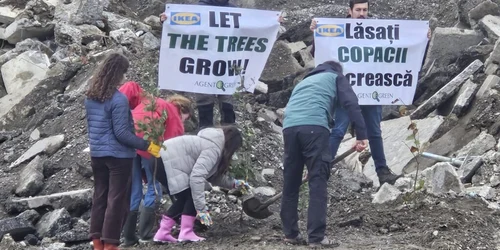 protest ikea ziarul de iasi jpg