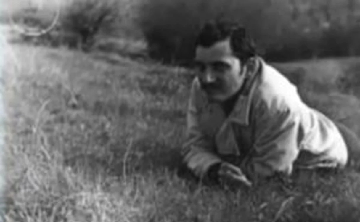 Bioforme surprinse în Pădurea Baciu