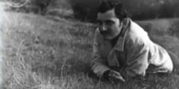 Bioforme surprinse în Pădurea Baciu