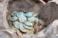 Tezaurul de la Ciobănița, alcătuit din 610 monede romane (foto: Muzeul de Istorie Naţională şi Arheologie Constanţa)