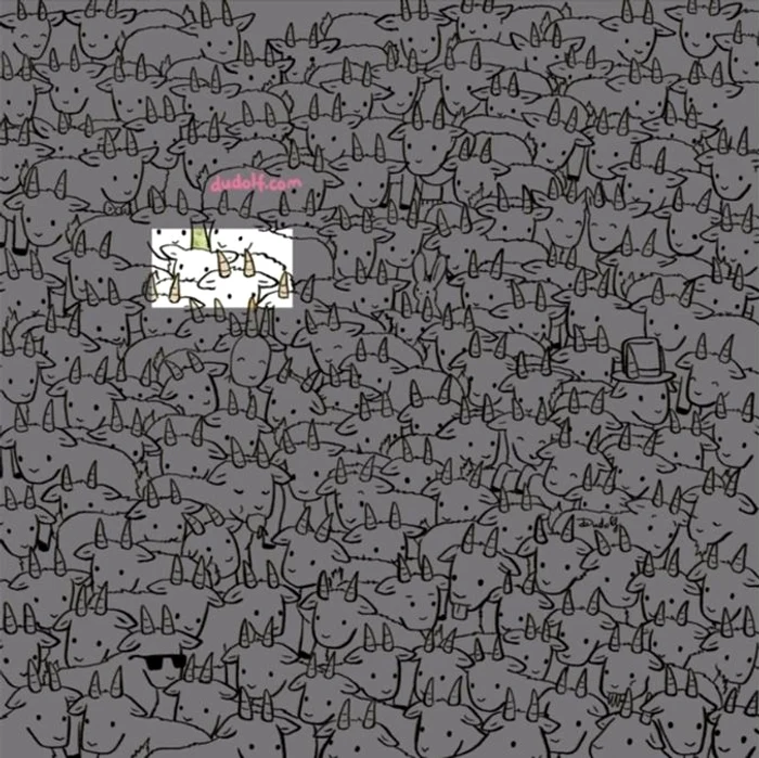 Rezolvarea testului / foto: Dudolf