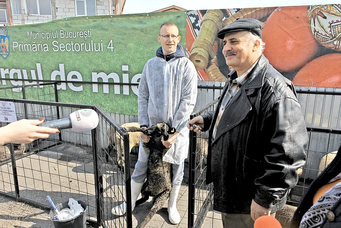 Mieii sunt aleşi şi sacrificaţi la faţa locului