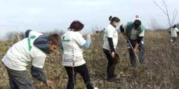 Peste 50 de voluntari au participat la plantări