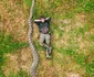 Radu Frențiu alături de imensul piton/FOTO: Guinness World Records