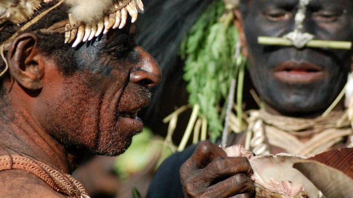 
		    
		    
		    
		    Un grup de canibali din Papua Noua Guinee acuzați că au ucis șapte persoane.   Foto: National Geographic Channel						