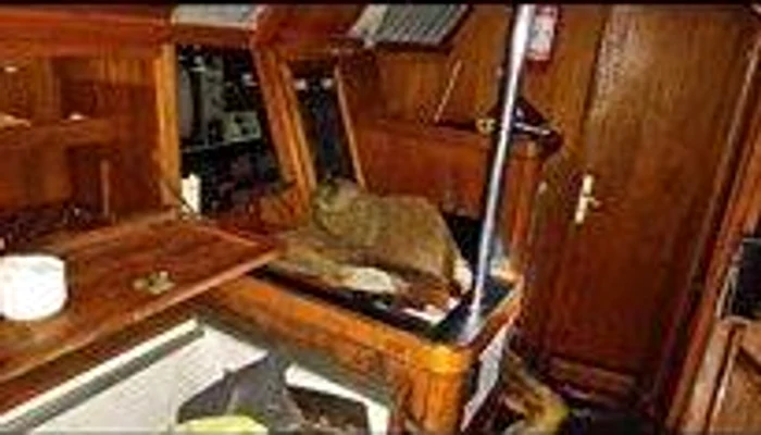 Acesta este corpul mumificat al bărbatului găsit la bordul iahtului abandonat