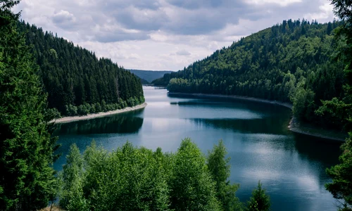 lac freepik jpg