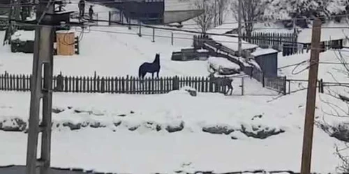 5ab506eadf52022f75ee845b jpg