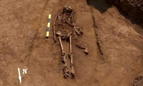 Schelet datând din urmă cu 2 500 de ani, descoperit la Bistriţa Năsăud jpeg