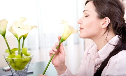 1 47985 original jpg jpeg