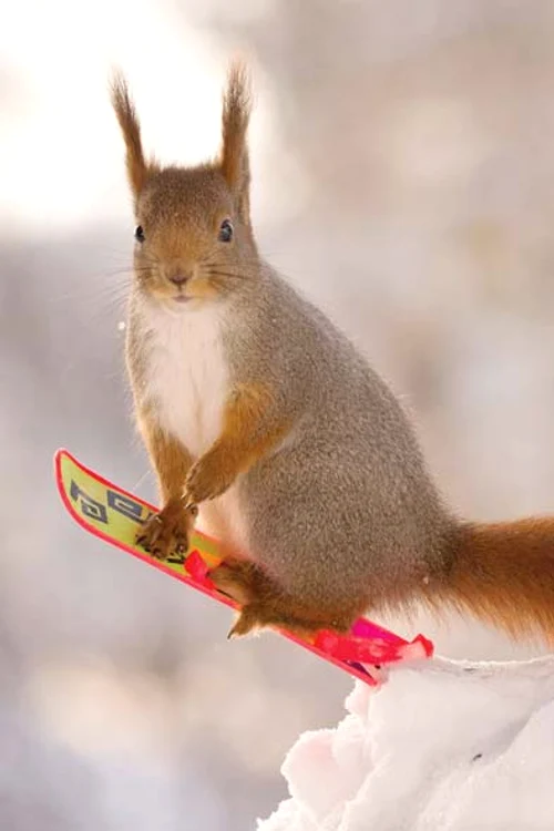 Şi cum îţi iei avânt?