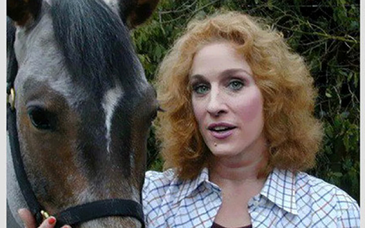 Filme de comedie. Sarah Jessica Parker joacă în „Lucy şi Joe”