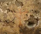 Descoperiri arheologice la Agrigento (© Parco Archeologico e Paesaggistico della Valle dei Templi)