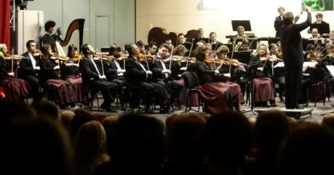 Concertul are loc la Muzeul de Artă Foto: arhivă