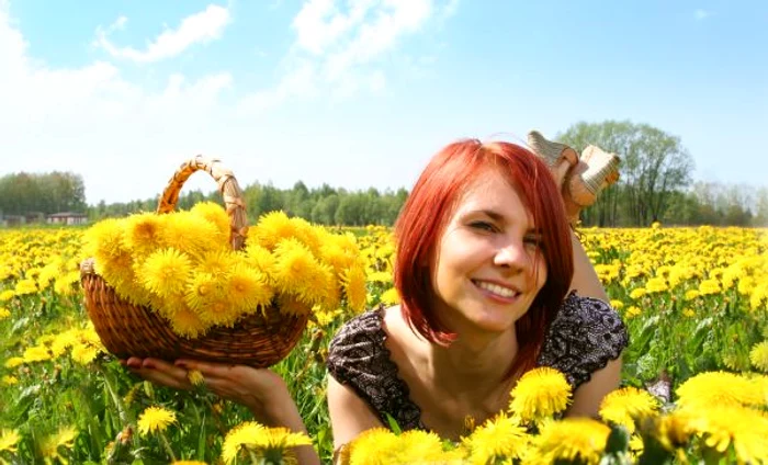 Păpădia are multe beneficii pentru sănătate şi, mai mult, te ajută în lupta împotriva kilogramelor