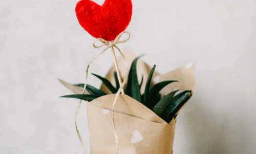 1 screen shot 2020 02 12 at 11 24 32 png png