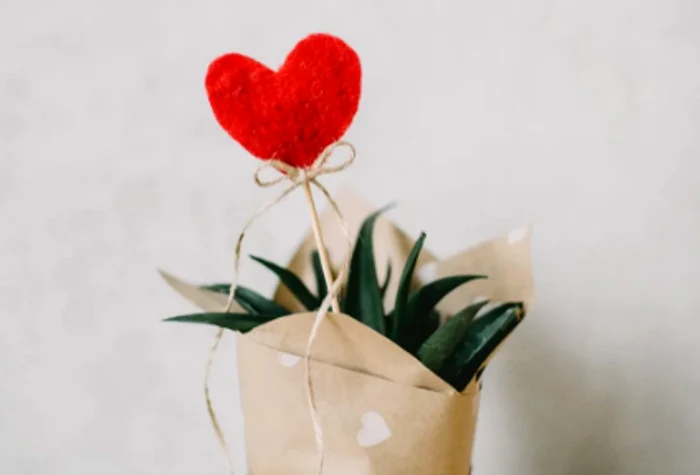 1 screen shot 2020 02 12 at 11 24 32 png png