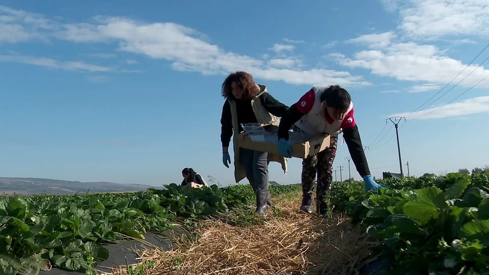Secretul care i-a ajutat pe doi tineri să-și facă o afacere de succes în agricultură, la Buzău