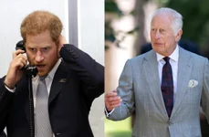 Prințul Harry Regele Charles Foto Profimedia jpg
