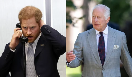 Prințul Harry, Regele Charles