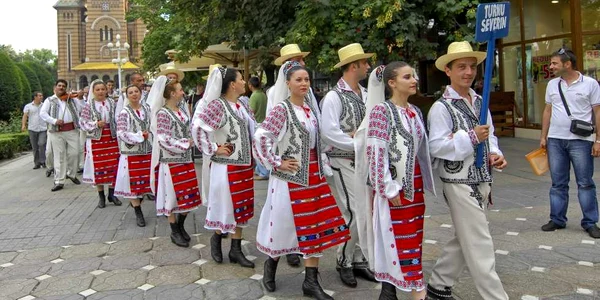 După alegerile din acest an, timișenii vor „dansa” după cum „cântă” consilierii olteni