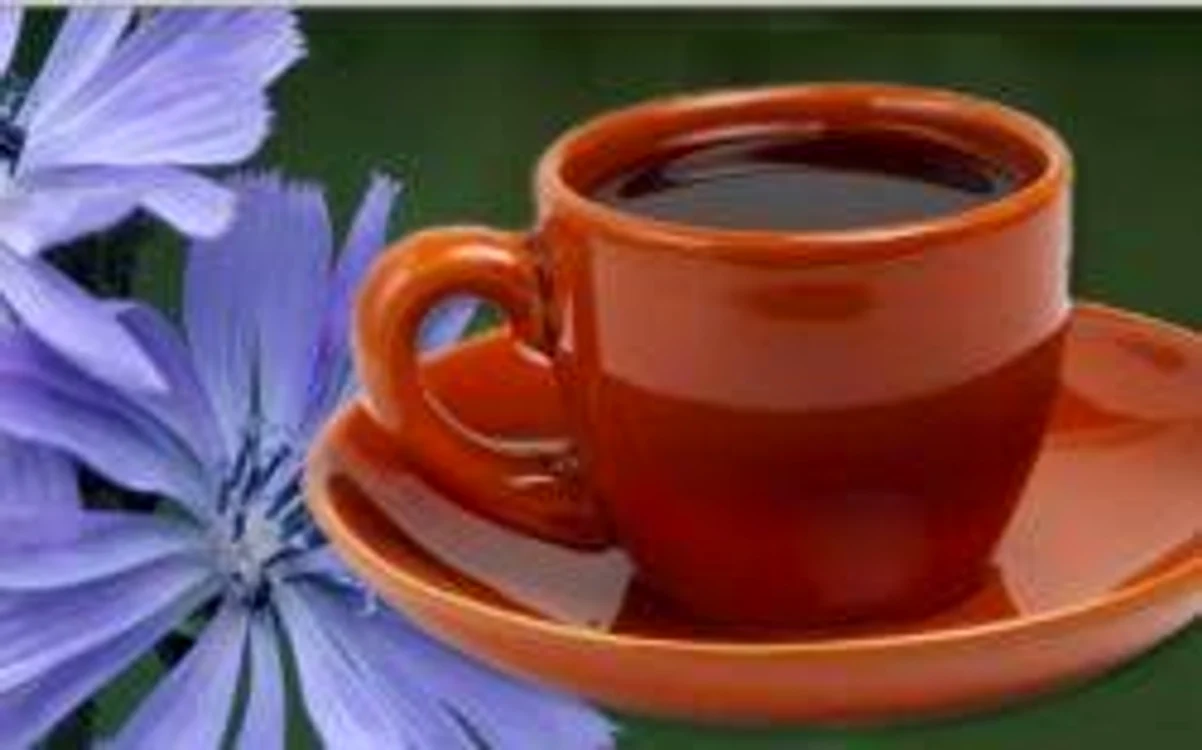 Cicoarea este un substitut al cafelei, utilă în curele de slăbire Sursa foto: Diete sănătoase.ro
