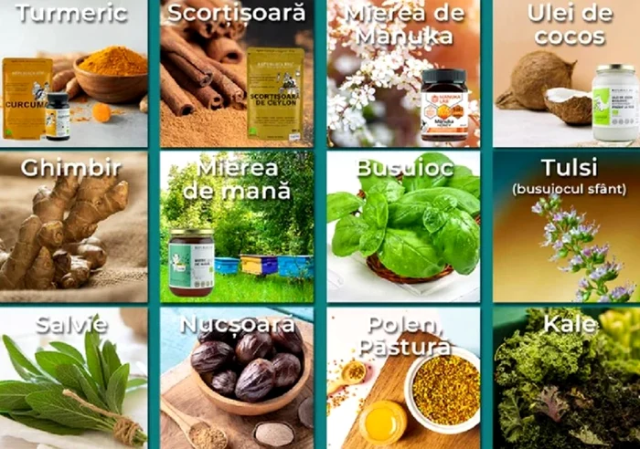Alimente cu rol puternic antiinflamator Sursa Republica Bio