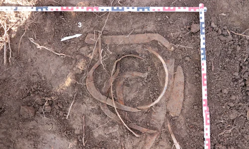Foto: Facebook / Muzeul Județean de Istorie și Arheologie Prahova