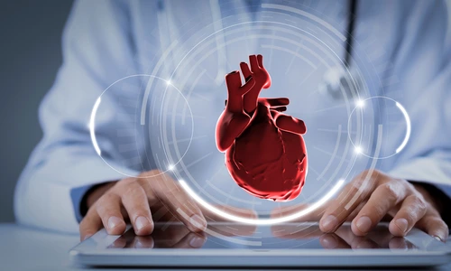 shutterstock 1823292209 jpg