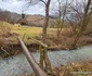 Satul Dumești din Hunedoara Foto Daniel Guță ADEVĂRUL (1) jpg