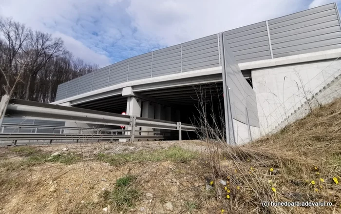 ecoductele de la holdea pe autostrada a1 foto daniel guta adevarul