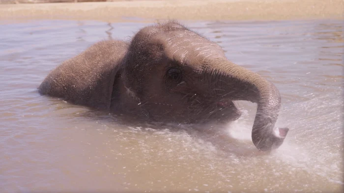 Nang Phaya a fost cea mai fericită (Foto: Profimedia)