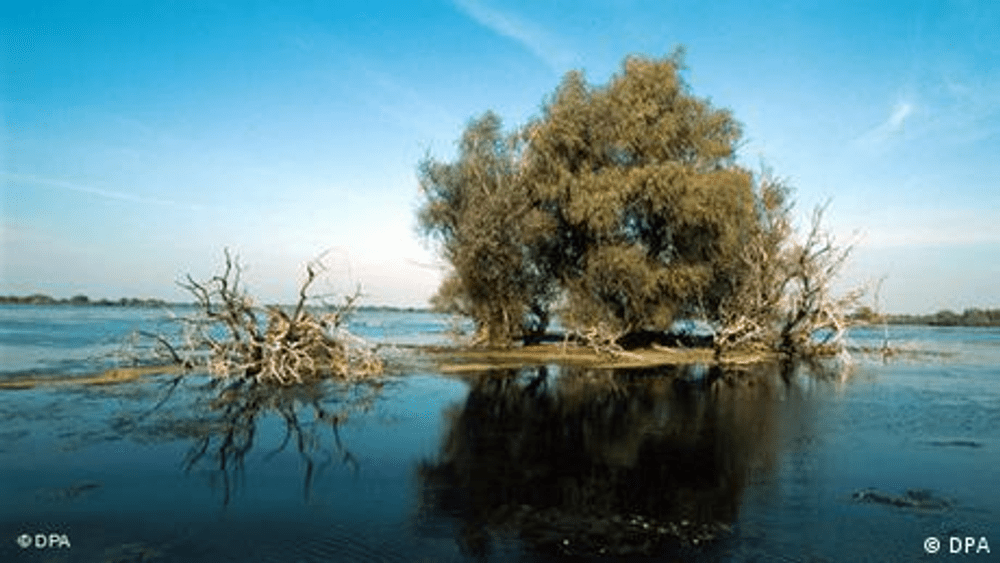 Capcana Bîstroe sabotează azimutul României?