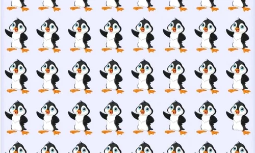 pinguin iluzie optica jpg