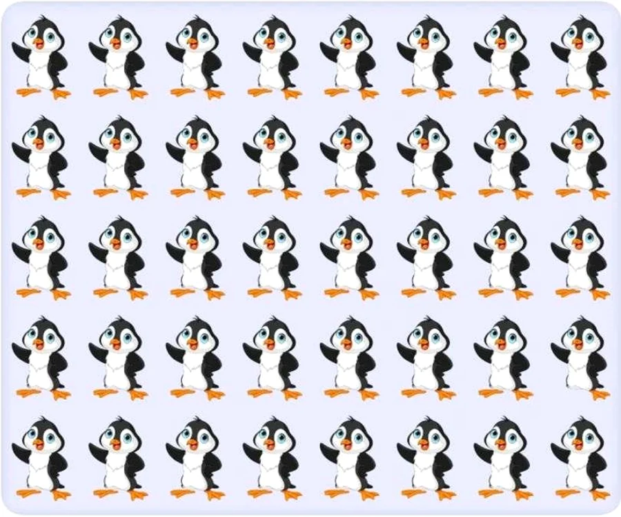 Tu cât de repede poți găsi pinguinul diferit / foto: jagranjosh.com
