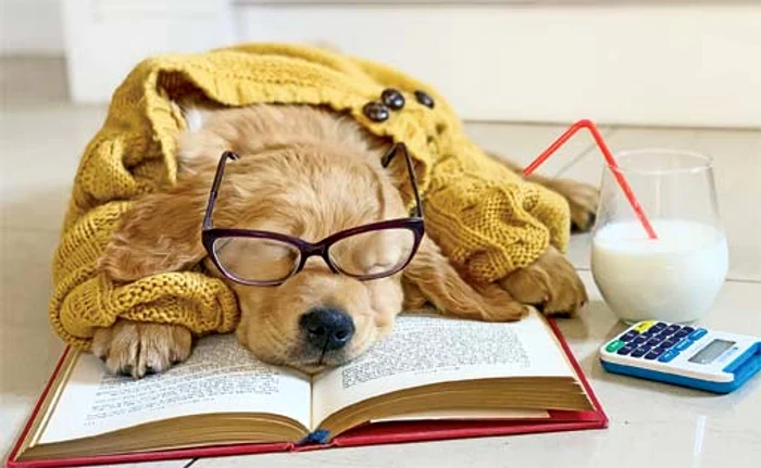 
    Pe bune, zici că ai tocit toată ziua? Eu am băut până s-a închis barul...Foto: Profimedia  