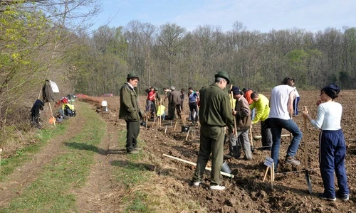 1 68108 original jpg jpeg