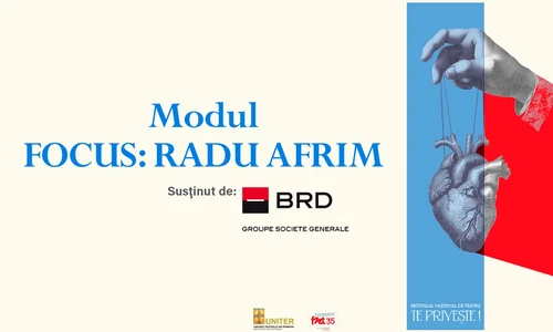 Modul Radu Afrim jpg