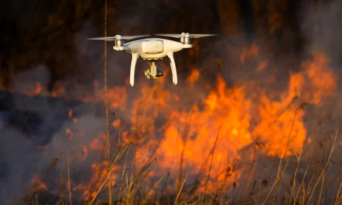 Incendiu padure vegetatie drona FOTO Shutterstock